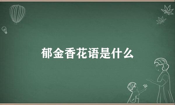 郁金香花语是什么