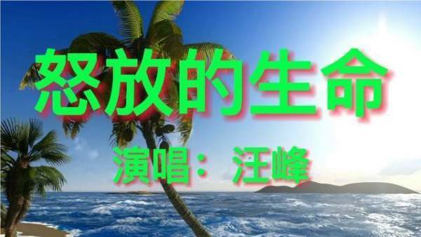 跪求《怒放的生命》MP3格式链接地址