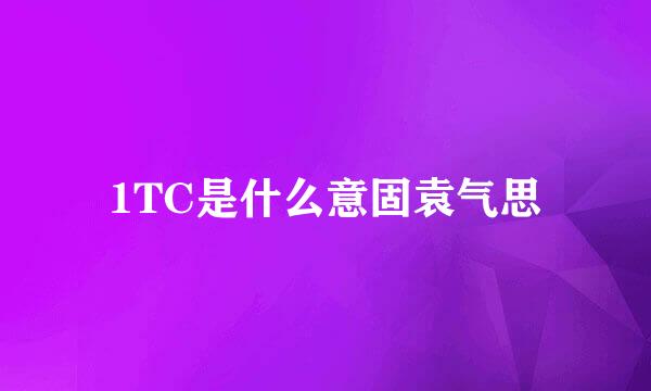 1TC是什么意固袁气思