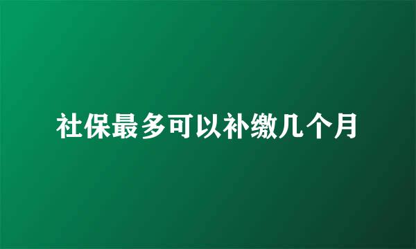 社保最多可以补缴几个月