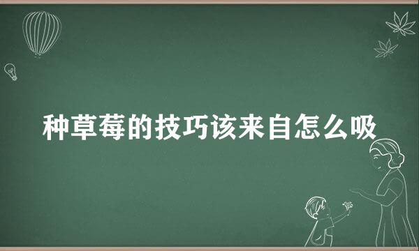 种草莓的技巧该来自怎么吸