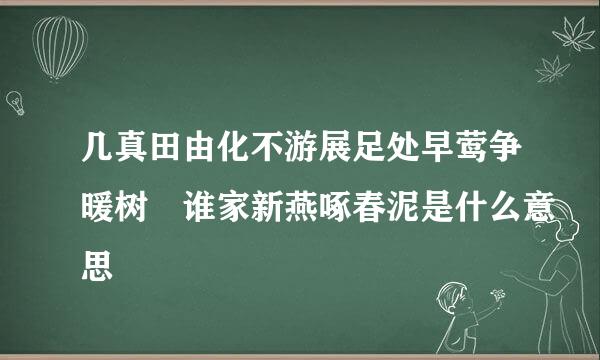 几真田由化不游展足处早莺争暖树 谁家新燕啄春泥是什么意思