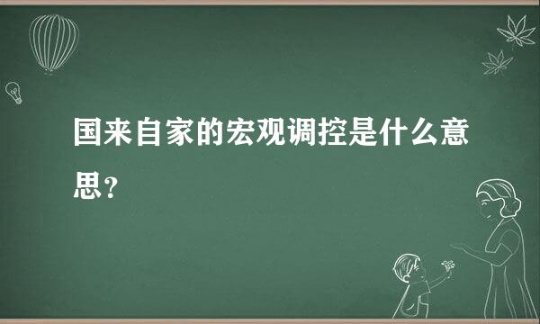 国来自家的宏观调控是什么意思？