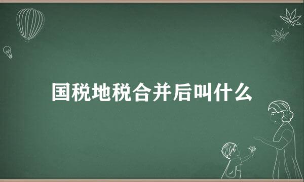 国税地税合并后叫什么