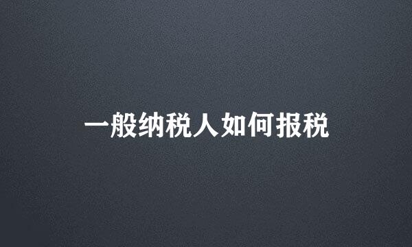 一般纳税人如何报税