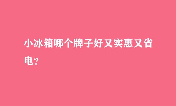 小冰箱哪个牌子好又实惠又省电？