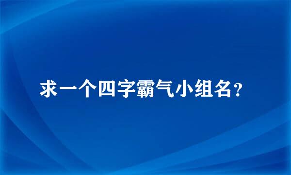 求一个四字霸气小组名？