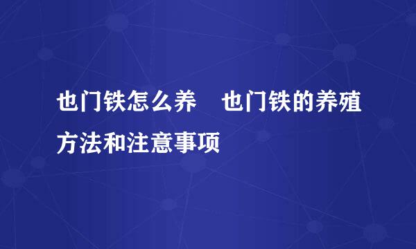 也门铁怎么养 也门铁的养殖方法和注意事项