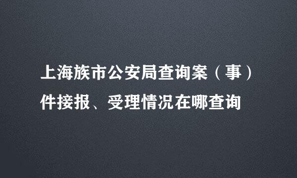 上海族市公安局查询案（事）件接报、受理情况在哪查询