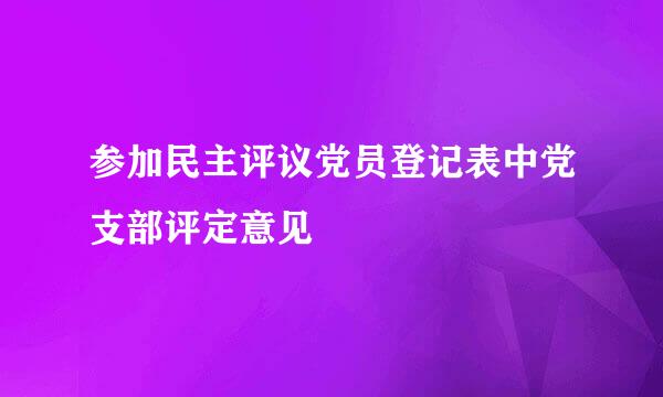 参加民主评议党员登记表中党支部评定意见