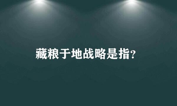 藏粮于地战略是指？