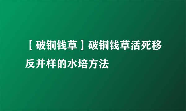 【破铜钱草】破铜钱草活死移反并样的水培方法