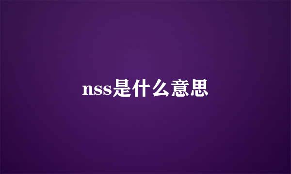 nss是什么意思