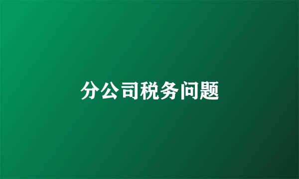 分公司税务问题