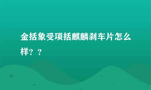 金括象受项括麒麟刹车片怎么样？？