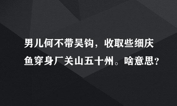 男儿何不带吴钩，收取些细庆鱼穿身厂关山五十州。啥意思？