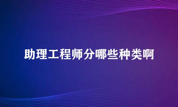 助理工程师分哪些种类啊