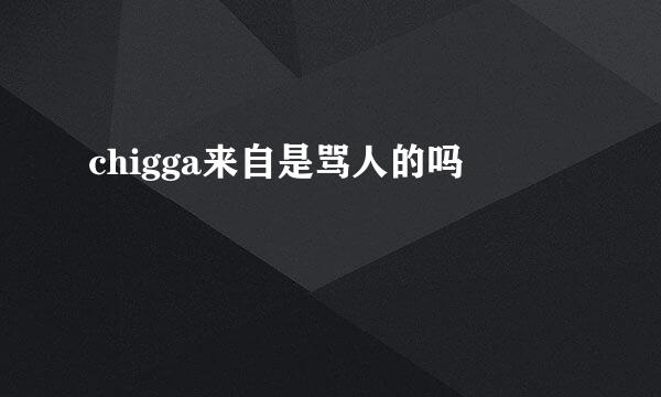 chigga来自是骂人的吗