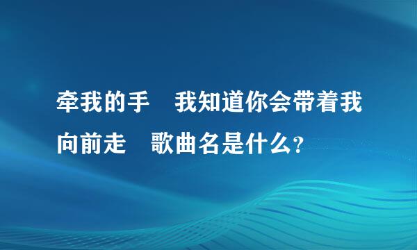 牵我的手 我知道你会带着我向前走 歌曲名是什么？