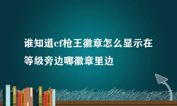 谁知道cf枪王徽章怎么显示在等级旁边哪徽章里边