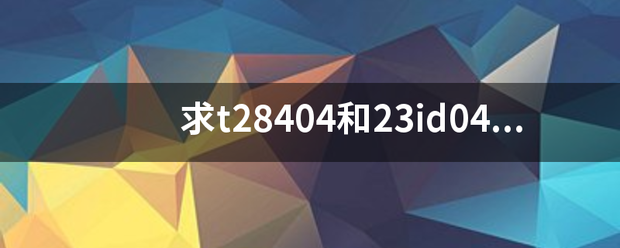 求t28404和23id044的磁力链接