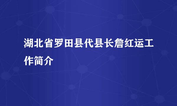 湖北省罗田县代县长詹红运工作简介