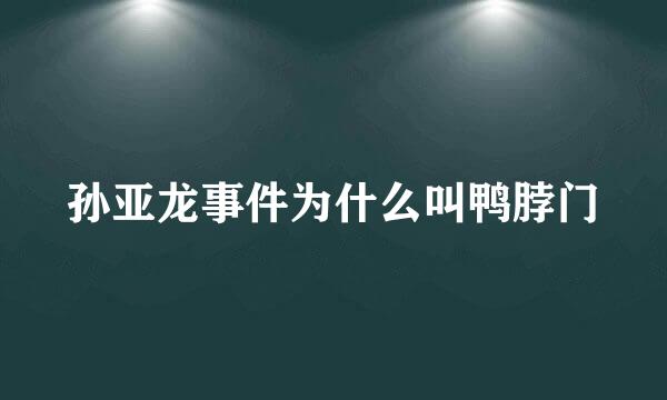 孙亚龙事件为什么叫鸭脖门