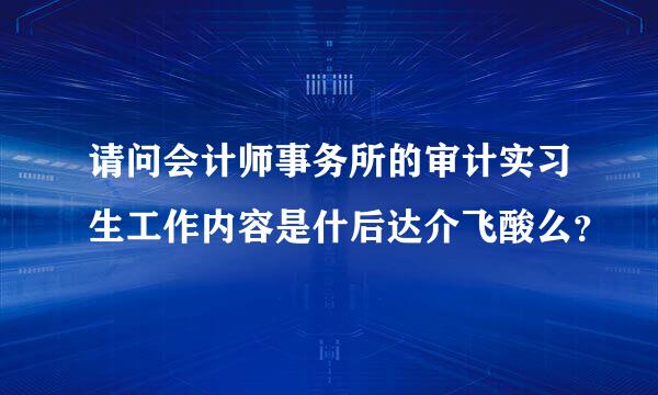 请问会计师事务所的审计实习生工作内容是什后达介飞酸么？