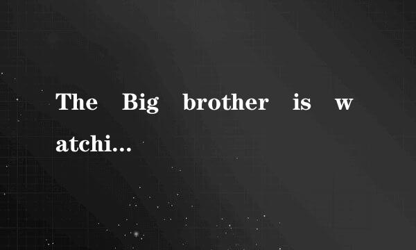 The Big brother is watching y湖度几走田力气故形ou 什么意思