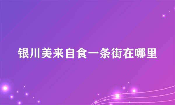 银川美来自食一条街在哪里