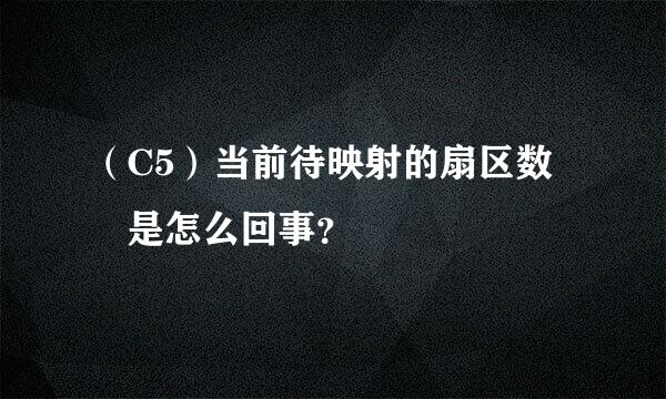 （C5）当前待映射的扇区数 是怎么回事？