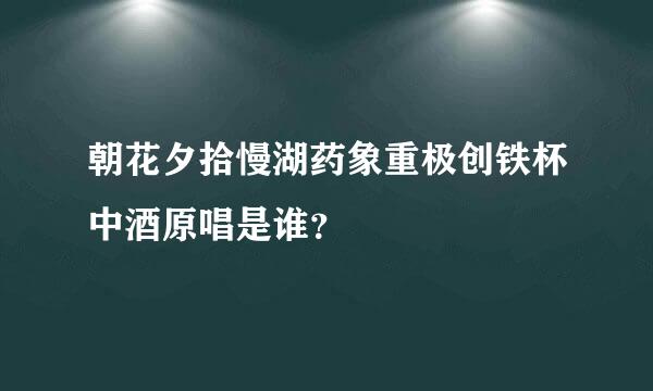 朝花夕拾慢湖药象重极创铁杯中酒原唱是谁？