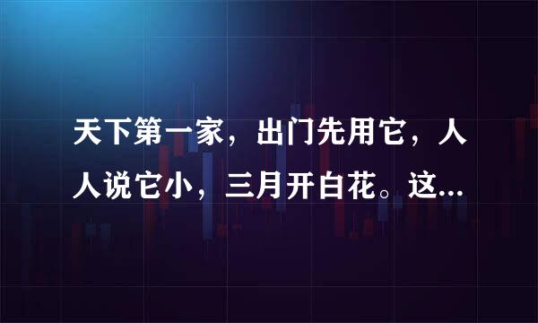 天下第一家，出门先用它，人人说它小，三月开白花。这紧艺争源厂裂是个谜语，谜底是四个姓事岁边传。