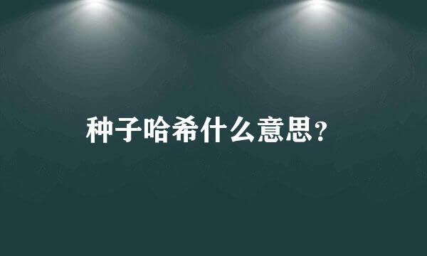 种子哈希什么意思？