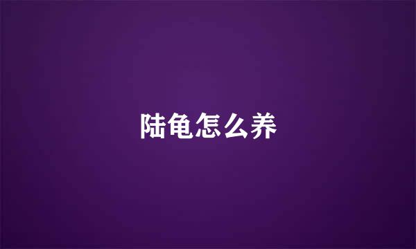 陆龟怎么养