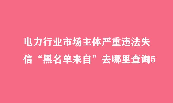 电力行业市场主体严重违法失信“黑名单来自”去哪里查询5