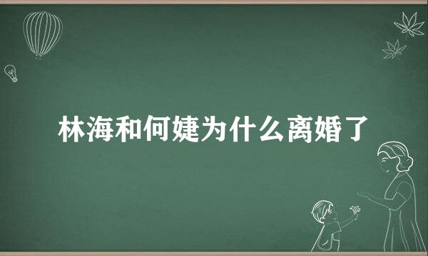 林海和何婕为什么离婚了