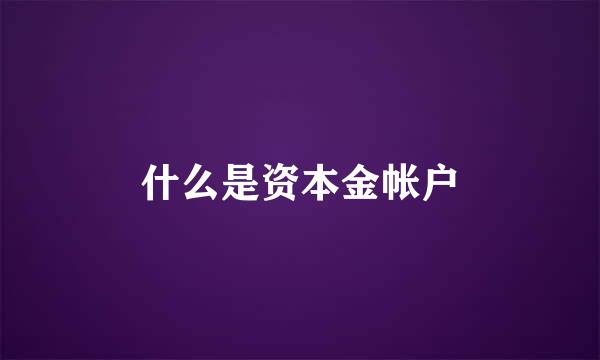 什么是资本金帐户