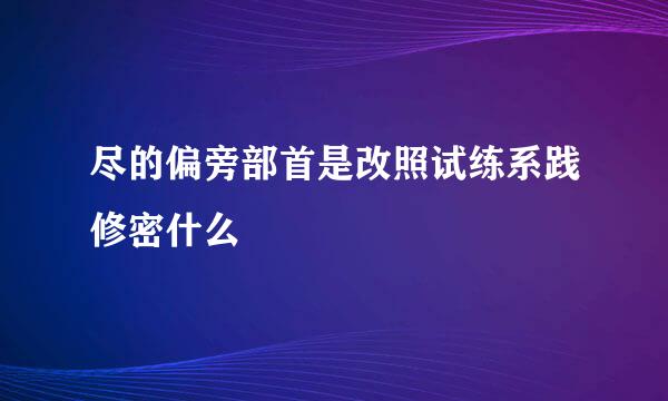 尽的偏旁部首是改照试练系践修密什么