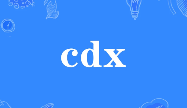 cdx网络用语是什么意思？