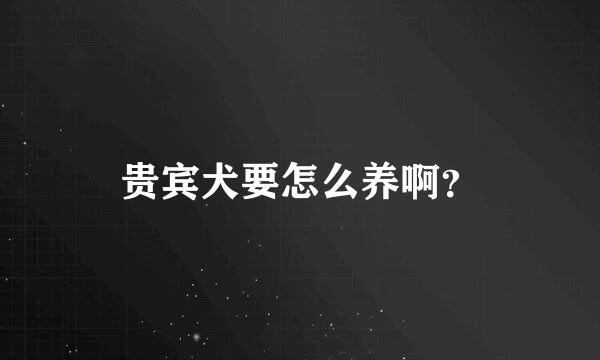 贵宾犬要怎么养啊？