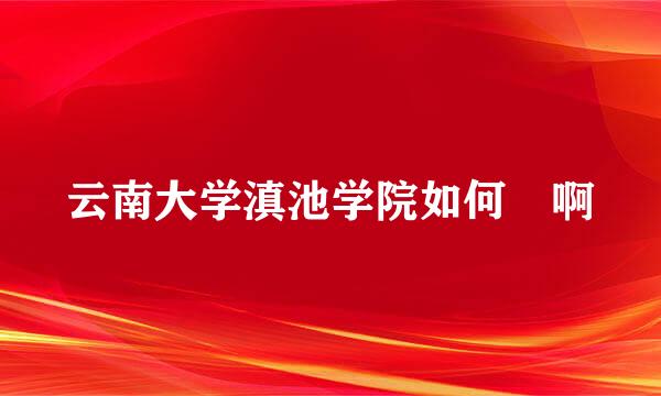 云南大学滇池学院如何 啊