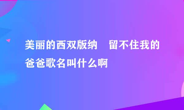 美丽的西双版纳 留不住我的爸爸歌名叫什么啊