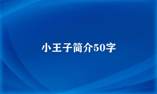 小王子简介50字