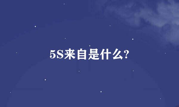 5S来自是什么?