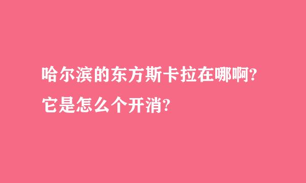 哈尔滨的东方斯卡拉在哪啊?它是怎么个开消?