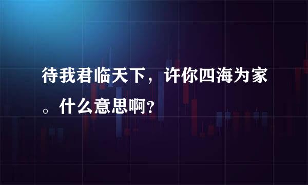 待我君临天下，许你四海为家。什么意思啊？