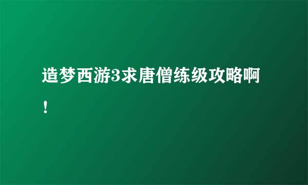 造梦西游3求唐僧练级攻略啊！