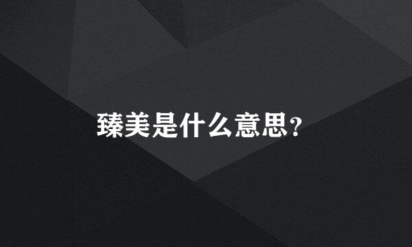 臻美是什么意思？