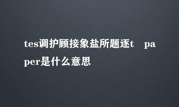 tes调护顾接象盐所题逐t paper是什么意思